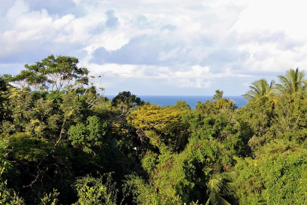 Novos Baianos Hostel E Pousada Porto Seguro Exterior foto View of the rainforest from the summit of Mount Banda Banda
